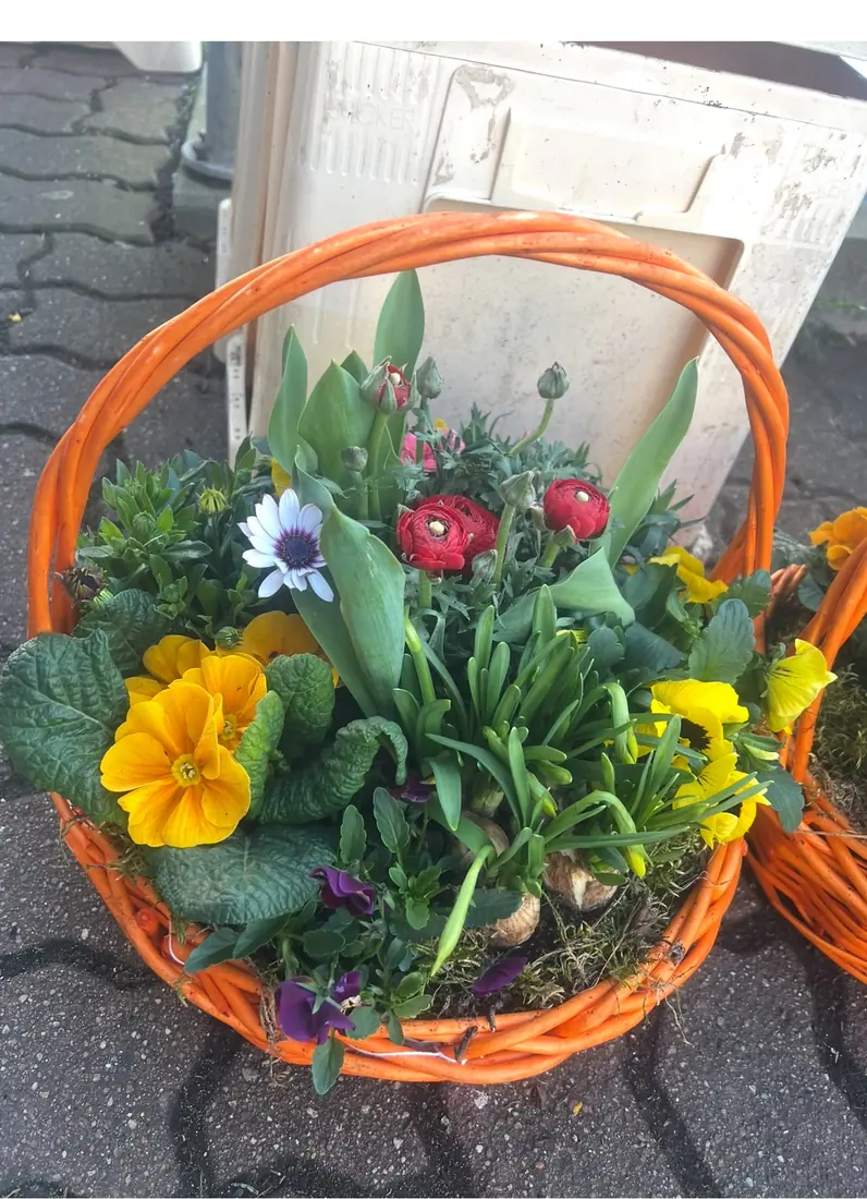 Frühlingskorb „Stiefmütterchen“
