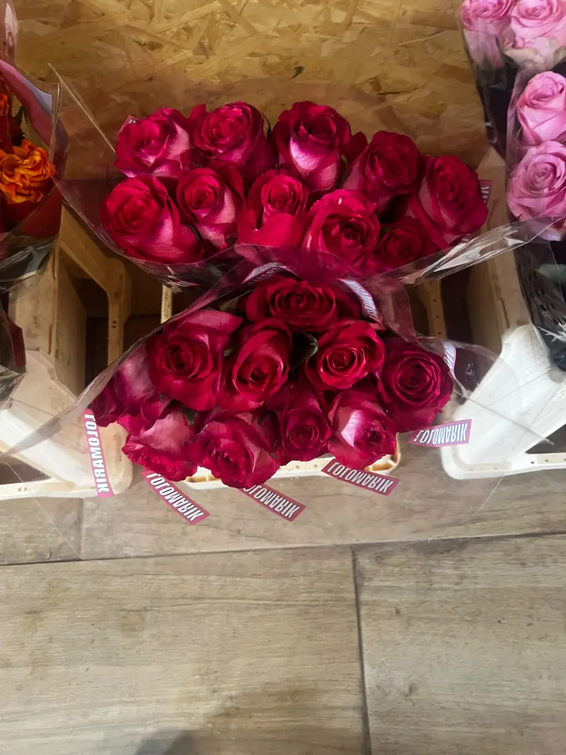 Rosen Kirschrot – Bund